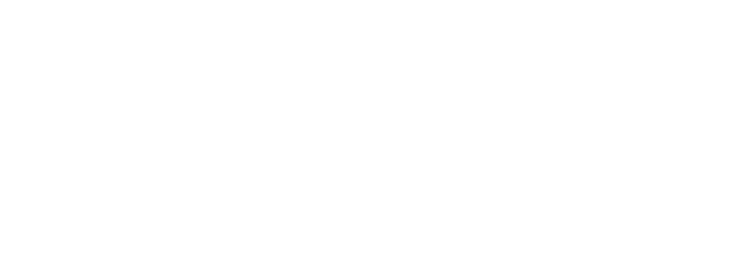 NepliFly